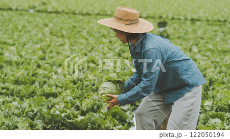 レタス農家 122050194
