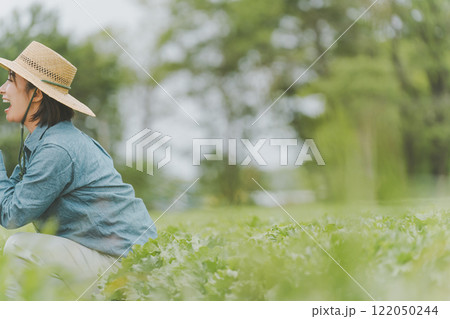 レタス農家 122050244