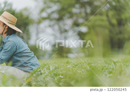 レタス農家 122050245