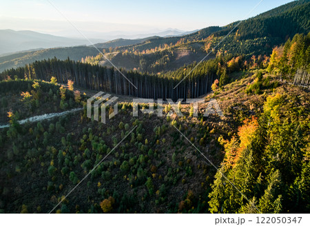 Beautiful panoramic view of mountain hills with alpine green trees and hiking path 122050347