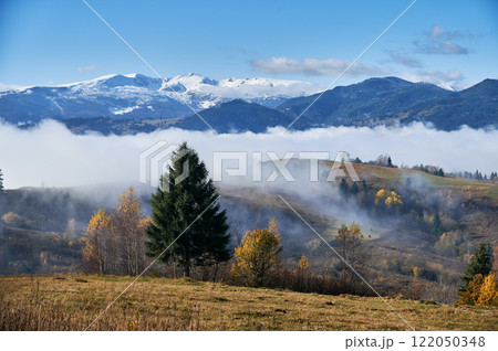 Beautiful view of alpine hills with green grass, trees and foggy mountains covered with snow 122050348