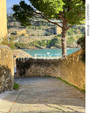 Nature of Liguria by sea. Pine trees and old town building on sunny day. Travelling, Italy sights and holidays. Nature of Liguria by sea. Pine trees and old town building on sunny day. Travelling, Italy sights and holidays. 122050361