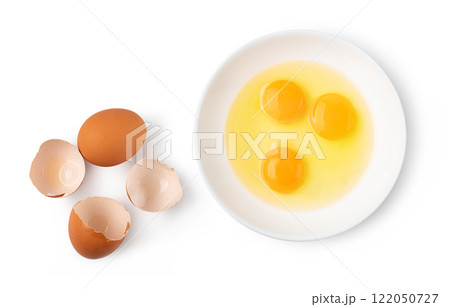 chicken egg chicken egg 122050727