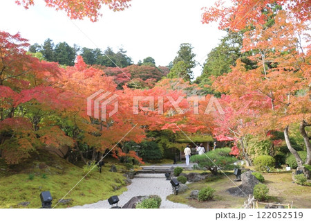 紅葉が美しい松島の名刹円通院 紅葉が美しい松島の名刹円通院 122052519