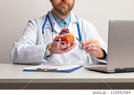 Cardiologist shows the structure and anatomy of human heart Cardiologist shows the structure and anatomy of human heart 122052564