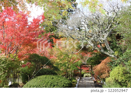 紅葉が美しい松島の名刹円通院 紅葉が美しい松島の名刹円通院 122052947