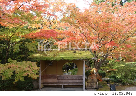 紅葉が美しい松島の名刹円通院 紅葉が美しい松島の名刹円通院 122052948