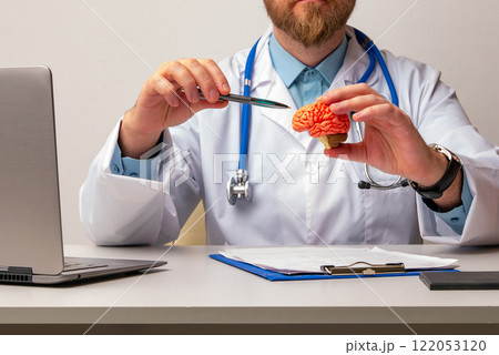 doctor is pointing pen anatomical model human brain. Help and care concept 122053120