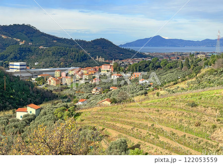 Ligurian Sea and nature. Traditional buildings with red one-day tiled roofs in sunlight. Vineyard and hills of Italy. Tourism and recreation. Ligurian Sea and nature. Traditional buildings with red one-day tiled roofs in sunlight. Vineyard and hills of Italy. Tourism and recreation. 122053559