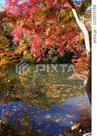 紅葉が湖畔を彩る震生湖 122053768