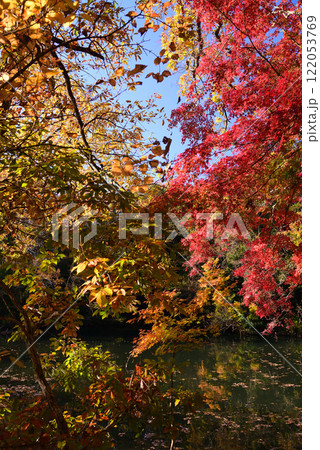 紅葉が湖畔を彩る震生湖 122053769