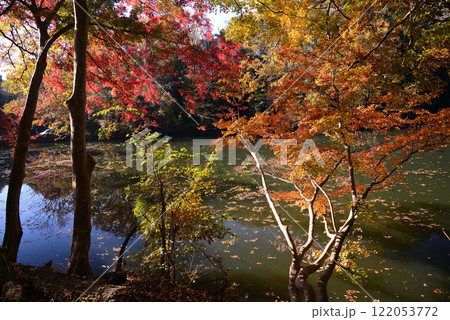 紅葉が湖畔を彩る震生湖 紅葉が湖畔を彩る震生湖 122053772