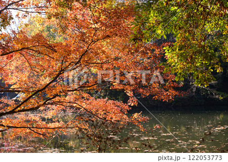 紅葉が湖畔を彩る震生湖 紅葉が湖畔を彩る震生湖 122053773