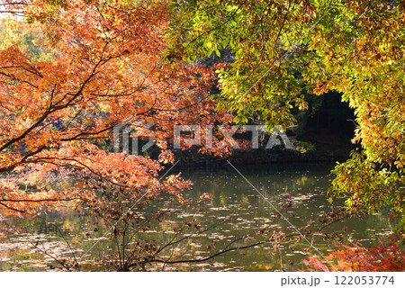 紅葉が湖畔を彩る震生湖 紅葉が湖畔を彩る震生湖 122053774