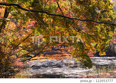紅葉が湖畔を彩る震生湖 122053777