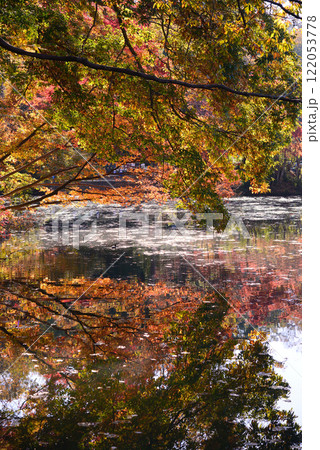 紅葉が湖畔を彩る震生湖 122053778