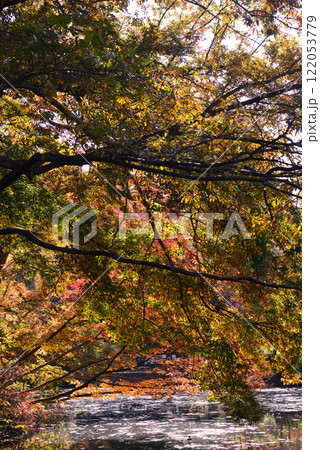 紅葉が湖畔を彩る震生湖 紅葉が湖畔を彩る震生湖 122053779