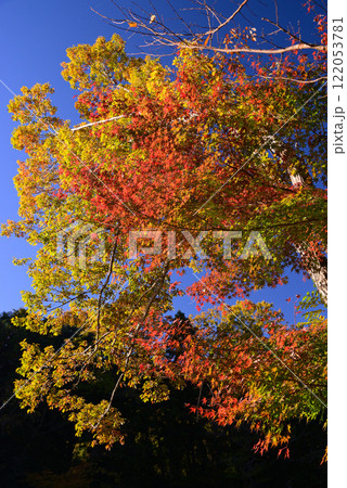 紅葉が湖畔を彩る震生湖 122053781