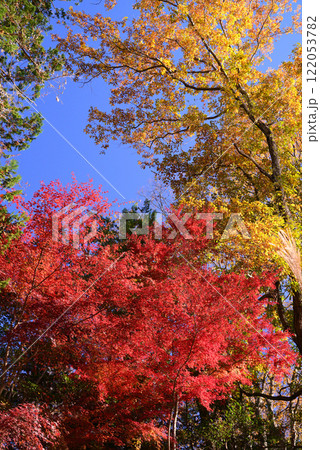 紅葉が湖畔を彩る震生湖 122053782
