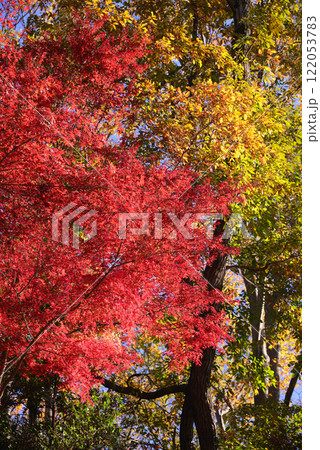 紅葉が湖畔を彩る震生湖 紅葉が湖畔を彩る震生湖 122053783