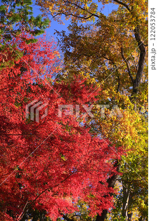 紅葉が湖畔を彩る震生湖 122053784