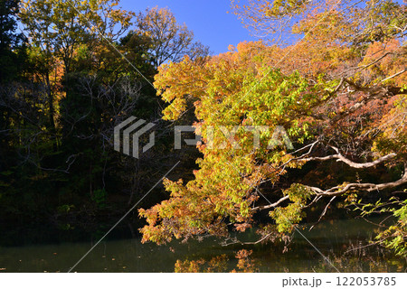 紅葉が湖畔を彩る震生湖 紅葉が湖畔を彩る震生湖 122053785