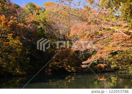 紅葉が湖畔を彩る震生湖 紅葉が湖畔を彩る震生湖 122053786