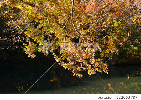 紅葉が湖畔を彩る震生湖 紅葉が湖畔を彩る震生湖 122053787
