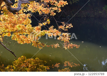 紅葉が湖畔を彩る震生湖 紅葉が湖畔を彩る震生湖 122053789