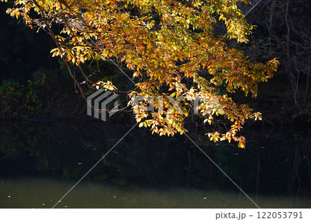 紅葉が湖畔を彩る震生湖 紅葉が湖畔を彩る震生湖 122053791
