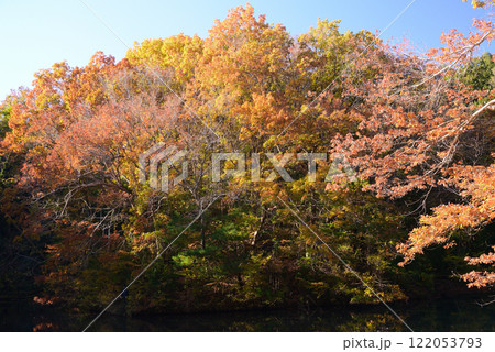 紅葉が湖畔を彩る震生湖 122053793