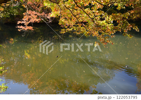 紅葉が湖畔を彩る震生湖 紅葉が湖畔を彩る震生湖 122053795