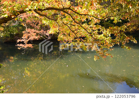 紅葉が湖畔を彩る震生湖 122053796