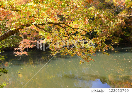 紅葉が湖畔を彩る震生湖 122053799