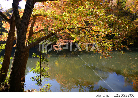 紅葉が湖畔を彩る震生湖 122053800