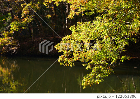 紅葉が湖畔を彩る震生湖 紅葉が湖畔を彩る震生湖 122053806