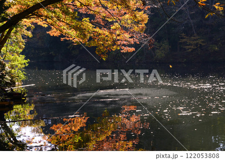 紅葉が湖畔を彩る震生湖 紅葉が湖畔を彩る震生湖 122053808