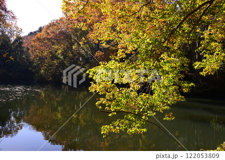 紅葉が湖畔を彩る震生湖 紅葉が湖畔を彩る震生湖 122053809