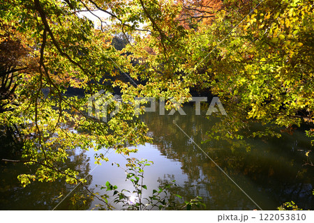 紅葉が湖畔を彩る震生湖 122053810