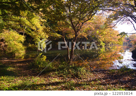紅葉が湖畔を彩る震生湖 122053814