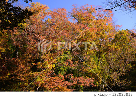 紅葉が湖畔を彩る震生湖 紅葉が湖畔を彩る震生湖 122053815