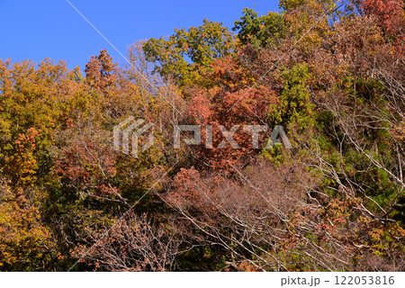 紅葉が湖畔を彩る震生湖 紅葉が湖畔を彩る震生湖 122053816