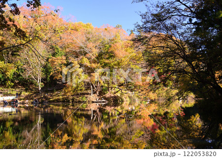 紅葉が湖畔を彩る震生湖 紅葉が湖畔を彩る震生湖 122053820