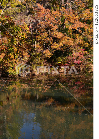 紅葉が湖畔を彩る震生湖 122053825