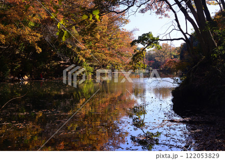 紅葉が湖畔を彩る震生湖 紅葉が湖畔を彩る震生湖 122053829