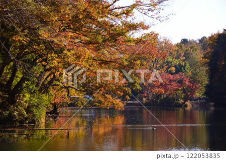 紅葉が湖畔を彩る震生湖 122053835