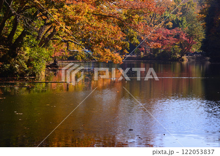 紅葉が湖畔を彩る震生湖 122053837