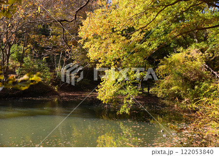紅葉が湖畔を彩る震生湖 紅葉が湖畔を彩る震生湖 122053840