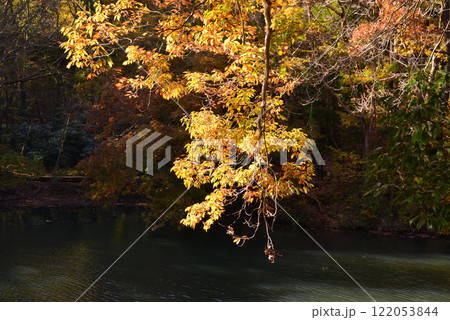 紅葉が湖畔を彩る震生湖 紅葉が湖畔を彩る震生湖 122053844