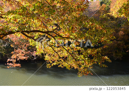 紅葉が湖畔を彩る震生湖 122053845